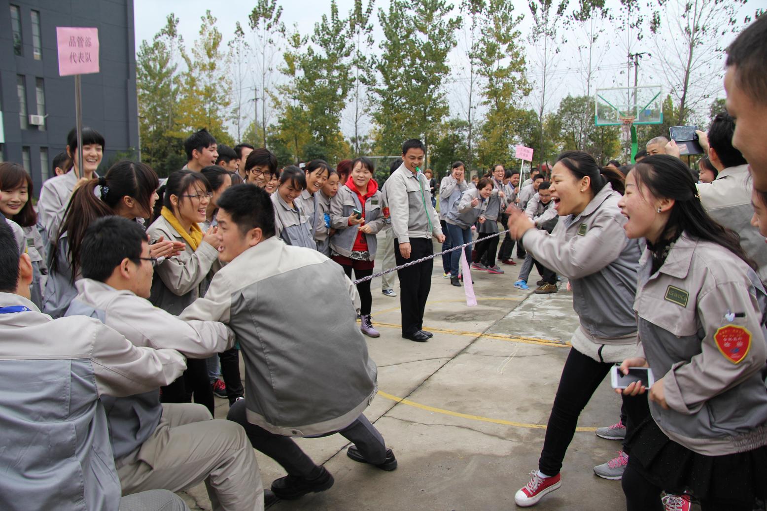 必发·bifa(中国)唯一官方网站