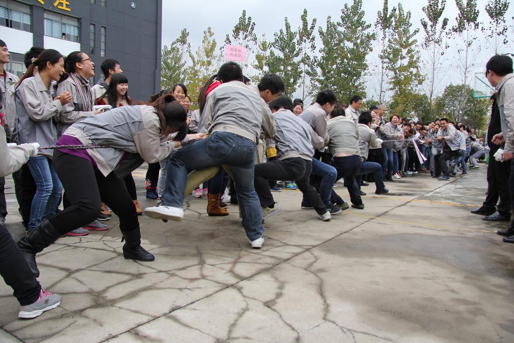 必发·bifa(中国)唯一官方网站