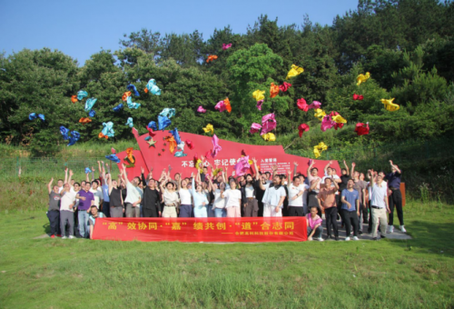 “高”效协同·“嘉”绩共创·“道”合志同——记合肥必发2026年万佛湖团队拓展活动